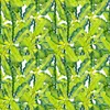 Coloray Fototapete 250x104 cm Vlies-Fototapete - Aqua Produktbild-Vorschau 2