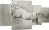 Bild auf Leinwand - Leinwandbild - Pferd Tier - 160x90cm - Produktbild-Vorschau 1