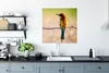 MuchoWow® Poster Vögel - Bienenfresser - Tiere 75x75 cm - Produktbild-Vorschau 3