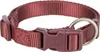 Trixie Premium Halsband sangria, Größe: XXS-XS Produktbild-Vorschau 3