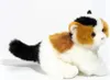 Chat porte-bonheur, env. 24 cm, 1pc Voir les images du produit 3