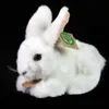 Plyšový králik 18 cm Ekologický Náhľad obrázku produktu 2