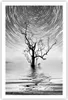 Poster - Poster ohne Rahmen - Schwarzweiß Baum See - Produktbild-Vorschau 1