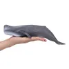 Mojo Fun Sperm Whale (Portugal), 3 lat(a), SEALIFE, Szary, Podgląd zdjęcia produktu 6