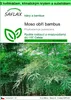SAFLAX Garden to go - Moso obří bambus - Phyllostachys Náhled obrázku produktu 1