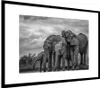 MuchoWow® MuchoWow® Gerahmtes Poster Elefant - Tiere - Produktbild-Vorschau 6