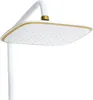A close-up view of a modern white and gold shower head. Podgląd zdjęcia produktu
