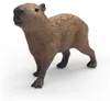 Capibara Anteprima dell’immagine prodotto 1