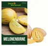 Melonenbirne Birnenmelone Pepino Samen - Solanum muricatum Produktbild-Vorschau 1