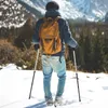 COSTWAY Alu Nordic Walking Stöcke Teleskop Wanderstock Produktbild-Vorschau 2