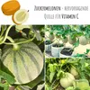 Zuckermelone Samen (Cucurbita melo) - Exotische Melonen Produktbild-Vorschau 2
