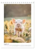 Schwein gehabt (Tischkalender 2027 DIN A5 hoch), CALVENDO Produktbild-Vorschau 10