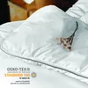 Night Cloud Ganzjahresdecke 200x220 cm | Premium Produktbild-Vorschau 5