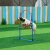 Équipement d'entraînement à l'agility pour chiens VEVOR, Voir les images du produit 9