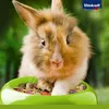 Vitakraft Menu Vital, nourriture pour lapins nains, avec Voir les images du produit 3
