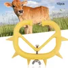 Kalb -Nasenring, Saugbetreuung, Plastikabsatzstachelring Produktbild-Vorschau 5