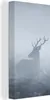 MuchoWow® - Leinwandbilder - Hirsche - Nebel - Wald, Produktbild-Vorschau 1