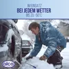 Alca Teleskop-Radschlüssel (17, 19) Produktbild-Vorschau 11