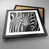 Gerahmtes Poster - Schwarzer Rahmen - Tiere Zebra gestreift Produktbild-Vorschau 3