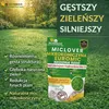 Microjetel à petites feuilles + Herbe : semences vivaces Voir les images du produit 5
