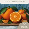 HAF Saunaaufguss Orange Mandarine 100 ml - Sauna Produktbild-Vorschau 2