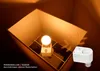 HF / Mikrowellen-Bewegungsmelder McShine mit E27 Fassung Produktbild-Vorschau 10
