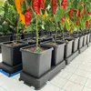 AutoPot easy2grow Bewässerungsset, 4 x 15L Produktbild-Vorschau 4