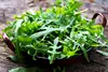 SAFLAX Garden in the bag - BIO - Wilder Ruccola - Produktbild-Vorschau 9
