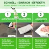 Golden Bull® Polsterreiniger Set - Natürlicher Polster Produktbild-Vorschau 6