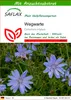 SAFLAX - Wegwarte - Cichorium intybus - 250 Samen - Mit Produktbild-Vorschau 1