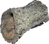 Dehner Terra Terrariendeko, Korkröhre, Größe L, ca. Ø 20-30 Produktbild-Vorschau 1