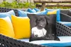 MuchoWow® Outdoor Kissen - Hunde - Welpe - Schwarz - Weiß - Produktbild-Vorschau 4