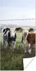 MuchoWow® Poster Kühe - Zaun - Friesland 20x40 cm - Plakat Produktbild-Vorschau 1