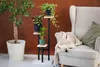 A plant stand with three potted plants next to a chair with a blanket. Náhled obrázku produktu