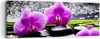 Bild auf Leinwand - Leinwandbild - Orchidee Natur Wasser Produktbild-Vorschau 1