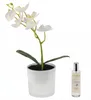 Künstliche Orchidee in einem Glas-Blumentopf mit LED und Produktbild-Vorschau 1