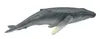 COLLECTA giovane megattera 88963 89634 Anteprima dell’immagine prodotto 1