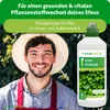 Purgrün Efeu-Dünger 1 Liter, Produktbild-Vorschau 2