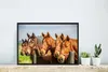 MuchoWow® MuchoWow® Gerahmtes Poster Pferde - Zaun - Sommer Produktbild-Vorschau 5