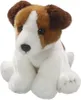 Carl Dick Jack Russel Terrier Floppy ca. 20cm 3348 Doudou, Voir les images du produit 1