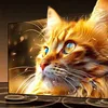 Câble HDMI 2.1, 8K / 60Hz, 3 m, Ugreen HD175, noir Voir les images du produit 5