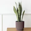 Blumentopf MILLA marsala 39,5 cm Produktbild-Vorschau 2