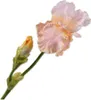 Kunstblume von Silk-ka – Seidenblumen-Iriszweig, lachsweiß, Produktbild-Vorschau 1