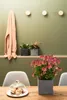 LECHUZA-Tafelvaas CANTO Stone 14, steengrijs | Plantenpot Productafbeelding-voorbeeld 29