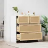 A white and natural wood cabinet with rattan drawers and doors, placed in a room with a plant and some decorative items on top. Podgląd zdjęcia produktu