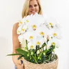 Orchidées Colibri | ensemble d'orchidées blanches dans un Voir les images du produit 3