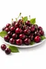 Ciliegio dolce 'Kordia' 100-120 cm | Prunus avium | albero Anteprima dell’immagine prodotto 2