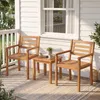 COSTWAY Tuinstoelen, set van 2, houten stoelen met Productafbeelding-voorbeeld 2