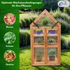 Coemo Gewächshaus Jan mit aufklappbaren Türen und Dach 70 x Produktbild-Vorschau 7