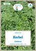 Grüne Fee - Kerbel Commun Samen - 12160 Produktbild-Vorschau 1
